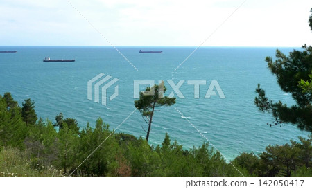Coastal landscape with sea shoreline and trees overlooking distant cargo ships anchored on the horizon under a clear sky Coastal landscape with sea shoreline and trees overlooking distant cargo ships anchored on the horizon under a clear sky 142050417