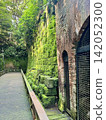Moss-covered brick walls and forest walking paths on Sarushima Island 142052300