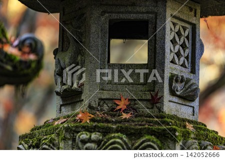 Mihara Buttsuji Temple, a famous spot for autumn leaves in Hiroshima Prefecture: Fallen leaves on a stone lantern. Mihara Buttsuji Temple, a famous spot for autumn leaves in Hiroshima Prefecture: Fallen leaves on a stone lantern. 142052666