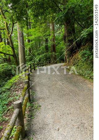 新潟縣鴨山市鴨山公園步道 新潟縣鴨山市鴨山公園步道 142053549
