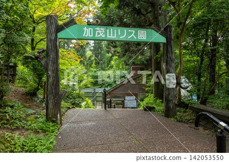 新潟縣賀茂市賀茂山松鼠公園 新潟縣賀茂市賀茂山松鼠公園 142053550