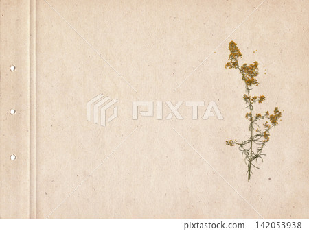 Rustic Background with Pressed Wildflowers on Vintage Notebook Page, Botanical Herbarium with Large Copy Space, Natural Paper Texture for Invitations, Greeting Cards, Eco Design and Creative Projects Rustic Background with Pressed Wildflowers on Vintage Notebook Page, Botanical Herbarium with Large Copy Space, Natural Paper Texture for Invitations, Greeting Cards, Eco Design and Creative Projects 142053938