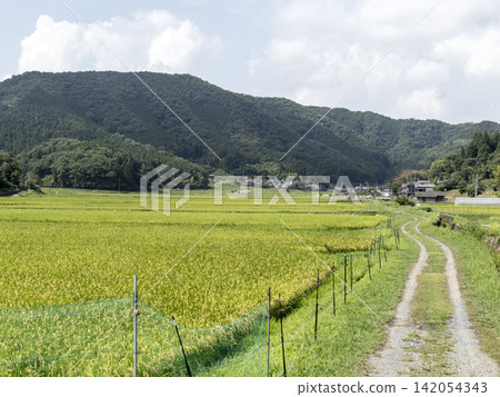 A rural landscape spread across Hiyoshi-cho, Nantan City, Kyoto Prefecture. A rural landscape spread across Hiyoshi-cho, Nantan City, Kyoto Prefecture. 142054343