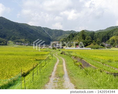 京都府南丹市日吉町的鄉村景色。 京都府南丹市日吉町的鄉村景色。 142054344