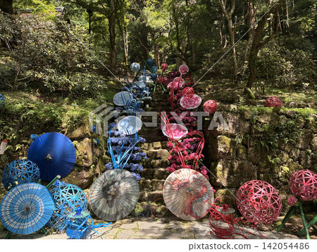 室生寺的繡球花(奈良宇陀市) 室生寺的繡球花(奈良宇陀市) 142054486