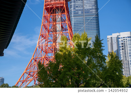 Tokyo - Cityscape with Tokyo Tower - Zojoji Temple and Tokyo Tower Tokyo - Cityscape with Tokyo Tower - Zojoji Temple and Tokyo Tower 142054932