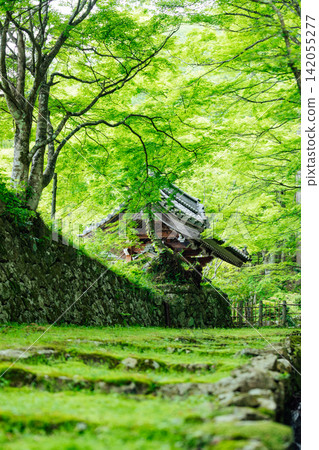[滋賀縣東近江市] 百齋寺：苔蘚覆蓋的大門和新鮮的綠植，景色令人驚嘆。 142055277