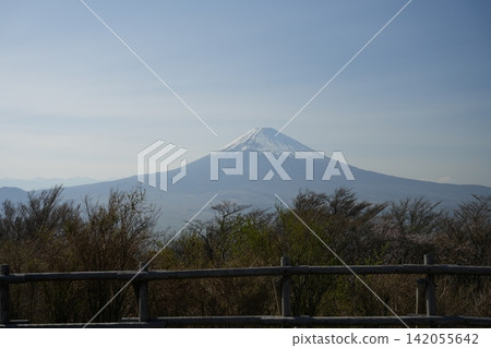 富士山 142055642