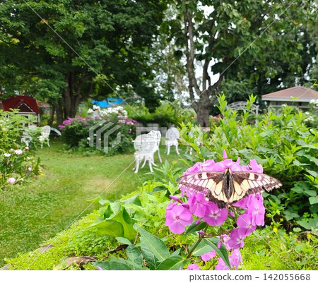The flower and green garden scenery of Obihiro's Shichiku Garden The flower and green garden scenery of Obihiro's Shichiku Garden 142055668
