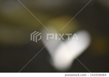 背景圖片中,地面上散落著一些模糊的大石頭。 背景圖片中,地面上散落著一些模糊的大石頭。 142056064