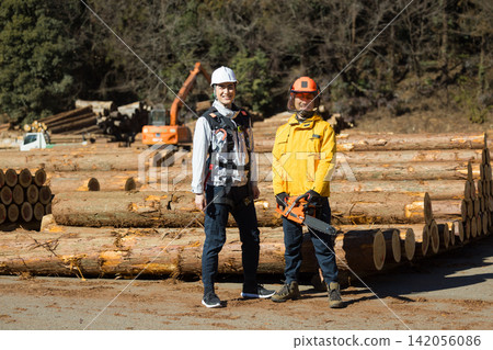 Forestry lumber market log market Forestry lumber market log market 142056086