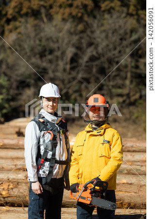 Forestry lumber market log market Forestry lumber market log market 142056091