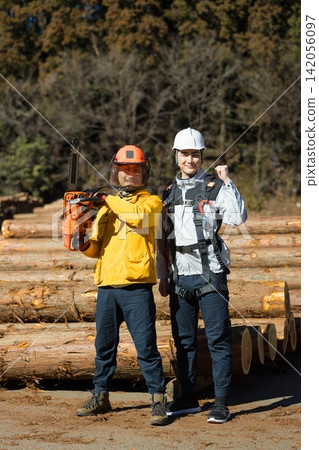Forestry lumber market log market Forestry lumber market log market 142056097