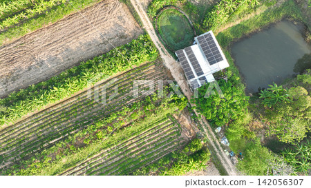 Rural homestead with rooftop solar panels, organic farmland, water ponds, and lush vegetation. Renewable energy systems, sustainable agriculture, environmental conservation, and net zero living. Rural homestead with rooftop solar panels, organic farmland, water ponds, and lush vegetation. Renewable energy systems, sustainable agriculture, environmental conservation, and net zero living. 142056307