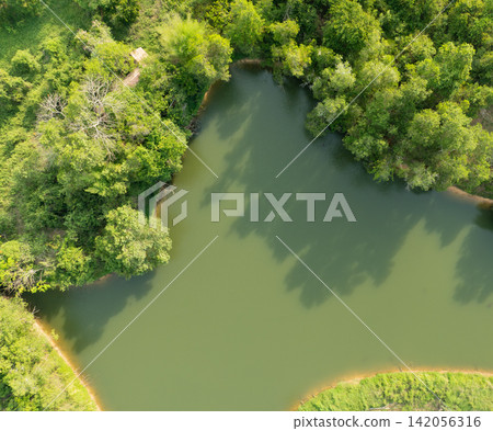 Aerial view of a tranquil green lake surrounded by lush tropical forest. Natural water resources, biodiversity, ecological conservation and peaceful rural landscapes. Environmental conservation. Aerial view of a tranquil green lake surrounded by lush tropical forest. Natural water resources, biodiversity, ecological conservation and peaceful rural landscapes. Environmental conservation. 142056316