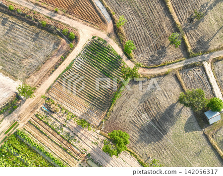 Aerial view cultivated vegetable farmland with soil furrows, and rural dirt roads in countryside fields. Sustainable agriculture and crop production. Cultivation and land management. Food production. 142056317
