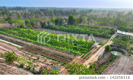 Aerial view of productive farmland with banana plantation, vegetable cultivation, irrigation canal, and rural farm roads in a countryside landscape. Sustainable agriculture and food production. Aerial view of productive farmland with banana plantation, vegetable cultivation, irrigation canal, and rural farm roads in a countryside landscape. Sustainable agriculture and food production. 142056318