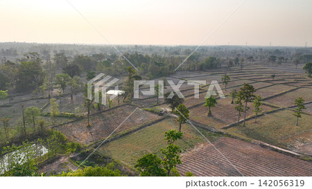 Drone view of rural farmland with cultivated agricultural fields, scattered trees, irrigation ponds and country roads in a tropical countryside landscape. Sustainable farming and land management. Drone view of rural farmland with cultivated agricultural fields, scattered trees, irrigation ponds and country roads in a tropical countryside landscape. Sustainable farming and land management. 142056319