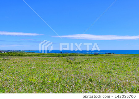 沿著根室半島二丘和友尻的海岸線旅行 沿著根室半島二丘和友尻的海岸線旅行 142056700