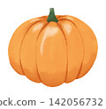 Hand-drawn watercolor pumpkin illustration 142056732