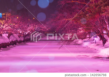 青森縣弘前市的冬天:弘前城公園的櫻花在冬日燈光的襯托下顯得格外美麗。 青森縣弘前市的冬天:弘前城公園的櫻花在冬日燈光的襯托下顯得格外美麗。 142056798