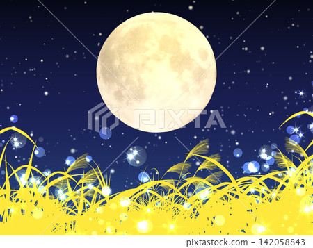 A field of pampas grass and a full moon A field of pampas grass and a full moon 142058843