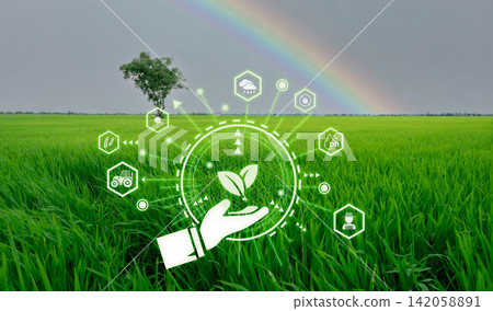 Smart agriculture with modern technology concept. Landscape of green rice farm field, rainbow, and icon of smart farming concept. Sustainable agriculture. Precision agriculture. Climate monitoring. Smart agriculture with modern technology concept. Landscape of green rice farm field, rainbow, and icon of smart farming concept. Sustainable agriculture. Precision agriculture. Climate monitoring. 142058891