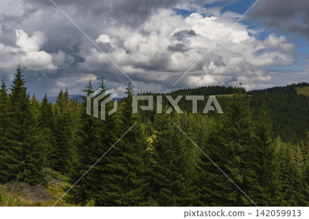 Explore the green forests and hills of the Carpathian Mountains in Ukraine Explore the green forests and hills of the Carpathian Mountains in Ukraine 142059913