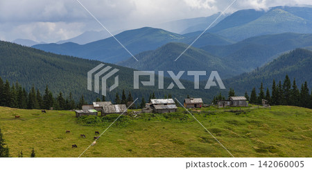 Mountains and meadows in the Carpathians with villages and hills Mountains and meadows in the Carpathians with villages and hills 142060005