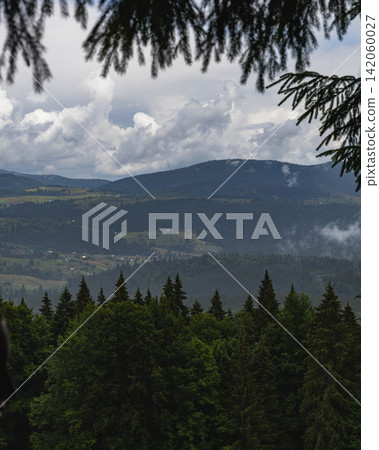 Mountains rise in the Carpathians with trees and a valley in Ukraine Mountains rise in the Carpathians with trees and a valley in Ukraine 142060027