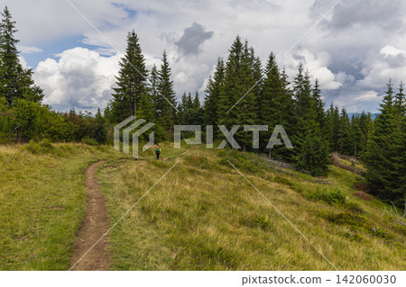 Path through the forest in the Carpathian Mountains of Ukraine in summer Path through the forest in the Carpathian Mountains of Ukraine in summer 142060030