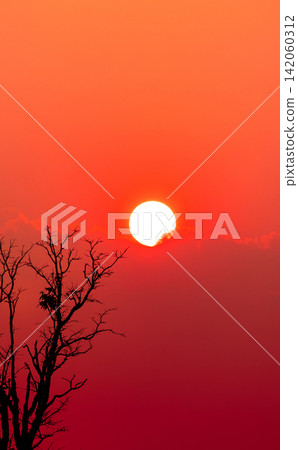 Bare tree silhouette beneath a glowing sunset sun with red sky, nature landscape featuring dramatic twilight atmosphere. Tranquil landscape background for travel, nature and environmental concept. Bare tree silhouette beneath a glowing sunset sun with red sky, nature landscape featuring dramatic twilight atmosphere. Tranquil landscape background for travel, nature and environmental concept. 142060312
