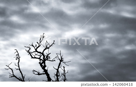 Leafless dead tree standing against textured storm clouds. Environmental degradation, harsh weather, climate crisis, solitude and nature conservation. Climate change, drought, environmental decline. Leafless dead tree standing against textured storm clouds. Environmental degradation, harsh weather, climate crisis, solitude and nature conservation. Climate change, drought, environmental decline. 142060418