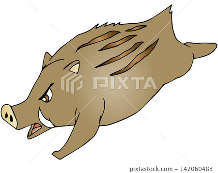 Hand-drawn animal illustration ☆ Wild boar Hand-drawn animal illustration ☆ Wild boar 142060483