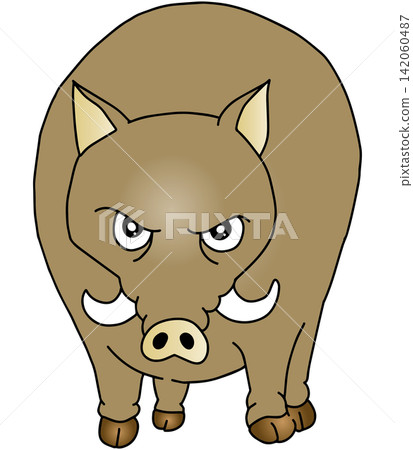 Hand-drawn animal illustration ☆ Wild boar Hand-drawn animal illustration ☆ Wild boar 142060487
