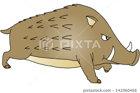 Hand-drawn animal illustration ☆ Wild boar Hand-drawn animal illustration ☆ Wild boar 142060488