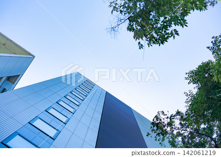 Low angle view of modern office building facade with tree branches and copy space in Fukuoka, Japan Low angle view of modern office building facade with tree branches and copy space in Fukuoka, Japan 142061219
