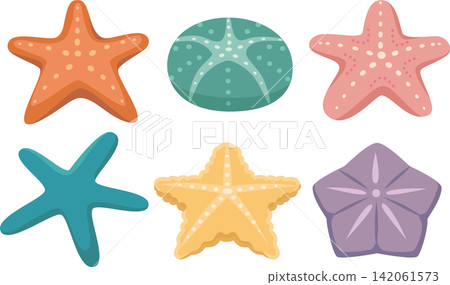 海星插圖集 海星插圖集 142061573