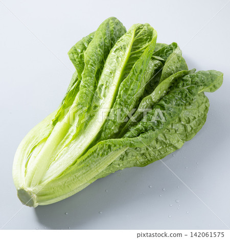 Romaine lettuce Romaine lettuce 142061575