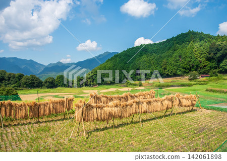 Rice farming scenery and drying racks: "Sakamoto Rice Terraces" (Kameyama City, Mie Prefecture) Rice farming scenery and drying racks: "Sakamoto Rice Terraces" (Kameyama City, Mie Prefecture) 142061898