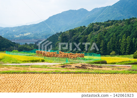 Rice farming scenery and drying racks: "Sakamoto Rice Terraces" (Kameyama City, Mie Prefecture) Rice farming scenery and drying racks: "Sakamoto Rice Terraces" (Kameyama City, Mie Prefecture) 142061923