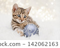 Cute Bengal kitten playing with a Christmas ball ornament on a fluffy white blanket 142062163