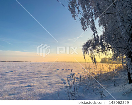 A wide view of a snowy field with frosted tree branches hanging in the foreground during a beautiful winter sunset, featuring a vibrant sky and peaceful cold atmosphere in the open rural countryside A wide view of a snowy field with frosted tree branches hanging in the foreground during a beautiful winter sunset, featuring a vibrant sky and peaceful cold atmosphere in the open rural countryside 142062239