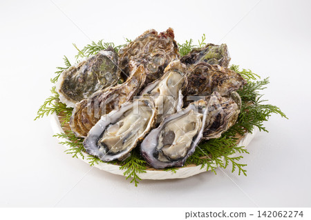 Raw oysters in the shell Raw oysters in the shell 142062274