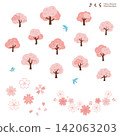 櫻花樹和花瓣的扁平化設計插畫集 142063203