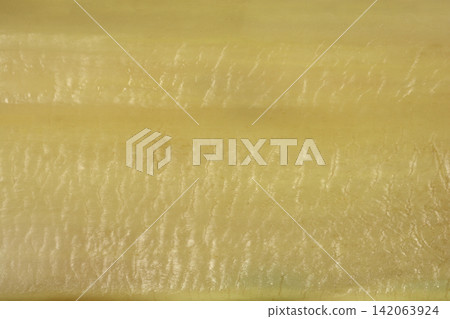 Macro texture of cooked white chard stalk background 142063924