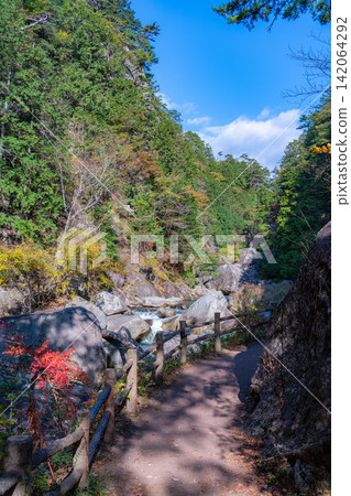 [Autumn Scenery] Autumn scenery of Shosenkyo Gorge and its walking trails [Yamanashi Prefecture] 142064292