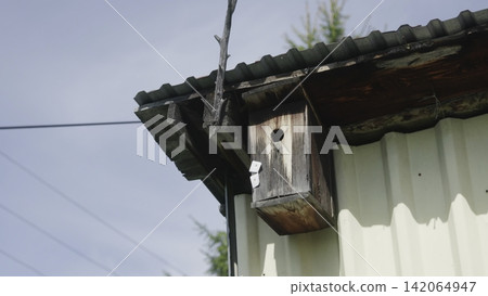 Weathered wooden birdhouse mounted beneath corrugated metal roof beside white siding, low-angle exterior view with rustic texture, soft daylight, quiet rural structure 142064947