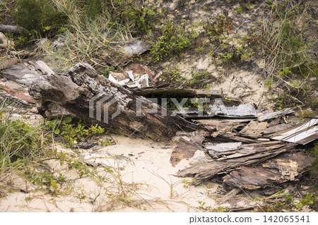 Driftwood and other debris washed ashore on the beach Driftwood and other debris washed ashore on the beach 142065541