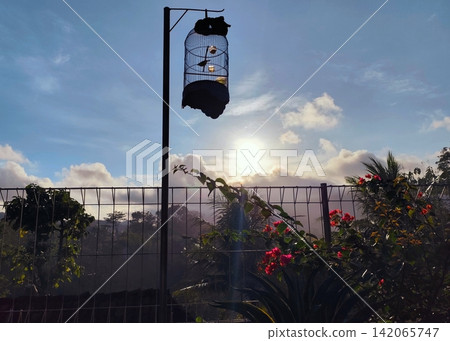 birds in cages hanging in front of the house in the morning. birds in cages hanging in front of the house in the morning. 142065747